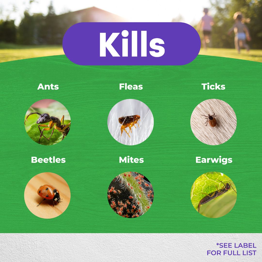 Ant, Flea & Tick Killer – Bonide – 10 lb